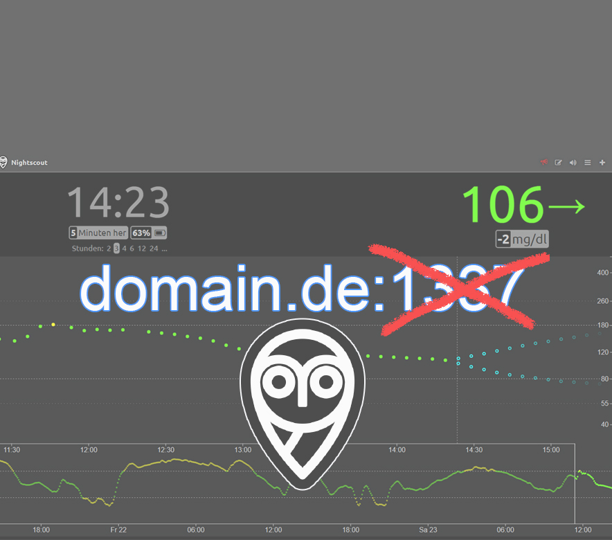 Nightscout direkt über Domain erreichen (Proxy)